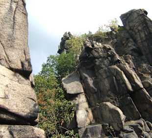 Wandern Thale