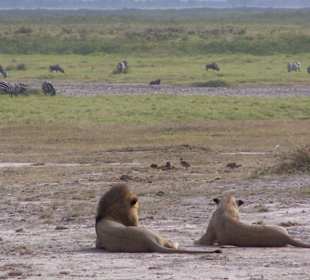 Die Ruhe vor dem Sturm