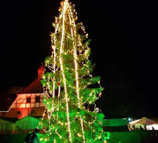 Der schöne Weihnachtsbaum