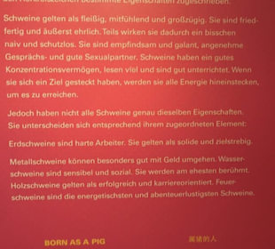SchweineMuseum