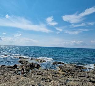 Strand Side