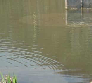 Unterer Schlossgarten Stuttgart