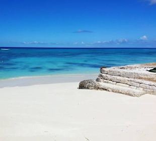 Im Bereich des National Parks