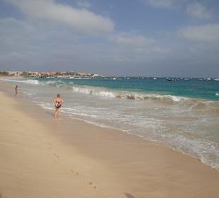 Blick vom Hotel-Strand Oasis Atlantico Salinas Sea Resort