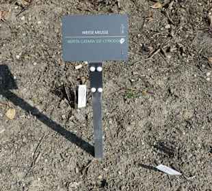 Hinweistafel zum eingepflanzten Kraut