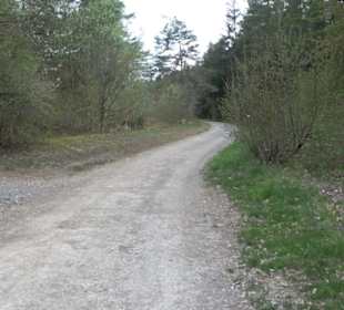 Lärchenwäldle