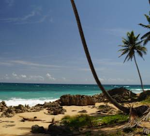 Vorbei an unberührten Traumstränden