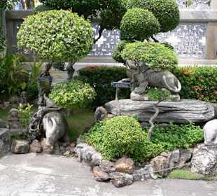 Bonsei Garten im Palast