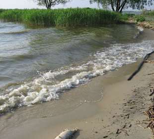Kurische Nehrung