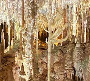 Drachenhöhle / Coves del Drac