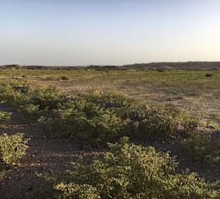 Marsa Alam Ausflüge-Wüstentouren 