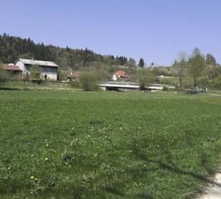 Waldlehrpfad an der Lauter