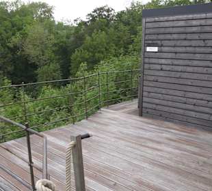 Wellnessbereich Mawell Resort 