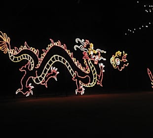 Magic Christmas in Lights