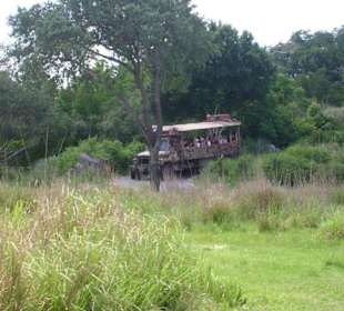 Safari Die ist echt gut