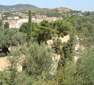 Parco Güell