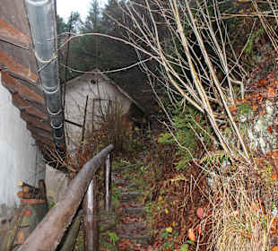 Die letzten Meter bis zur Straße