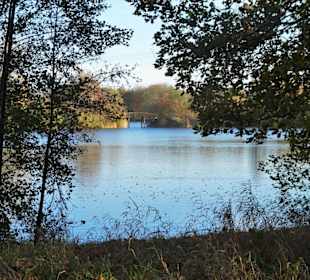 Eindrücke vom Rundweg durch den Volkspark Bokel