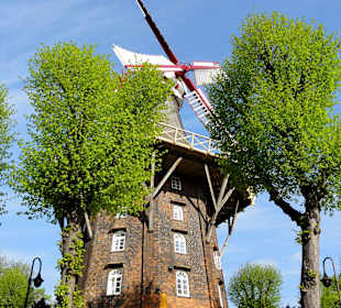 Mühle am Wall - die "Kaffee Mühle"