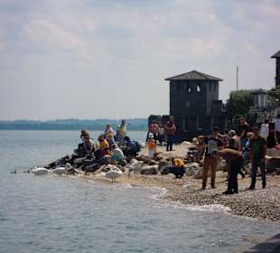 Strand hinter der Altstadt