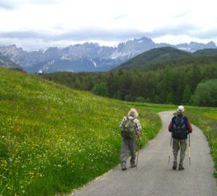 Wandern Rosengarten Latemar Dolomiten Südtirol 