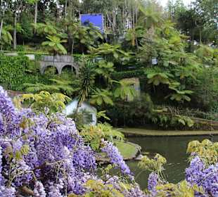Monte Garden