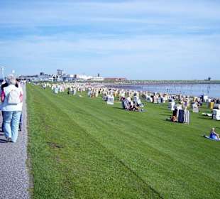 Der grüne Strand von Büsum