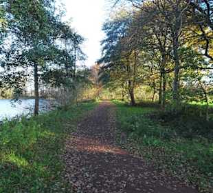 Eindrücke vom Rundweg durch den Volkspark Bokel