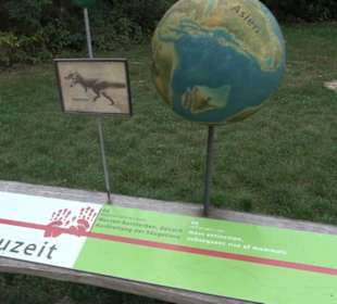 Dinosaurier Museum Altmühltal