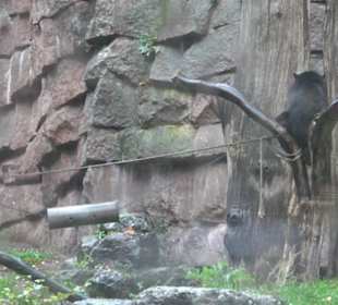 Tierpark 