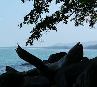 Ausflug zum Lam Ru Nationapark