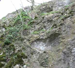Wanderung rund um das Rusenschloss Gerhausen