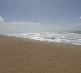 Strand auf Halbinsel Ilha do Ancão / Ilha de Faro