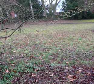 Alter Friedhof Pliezhausen