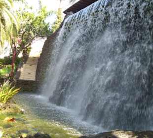 2 Minuten vom Hotel entfernt: sehr schön der Taoro Park