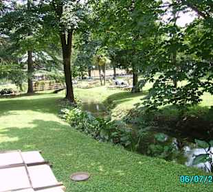 1 dei ruscelli che comunicano tra i 2laghetti