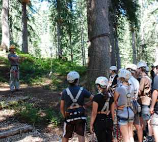 Im Waldseilgarten von Damüls