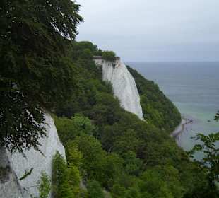 Der Königsstuhl im Nationalpark Jasmund/Sassnitz