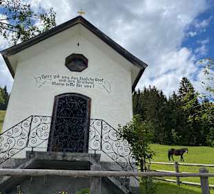 Wandern Flachau