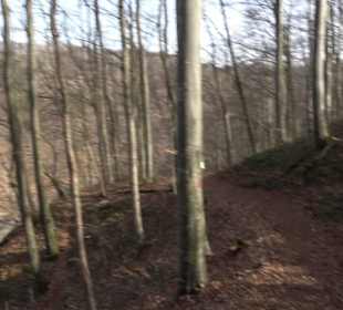 Premiumwanderweg Hohenwittlingensteig