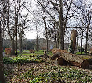 Schlossgarten bei der Karlsburg/ beim Schloss