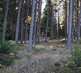 Riesengebirge/Karkonosze