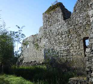 Trim Castle