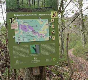 Eiszeitpfad - Burgfelsenpfad