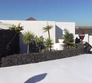 Fundacion Cesar Manrique