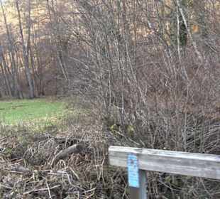 Schönbuch Schaichtal