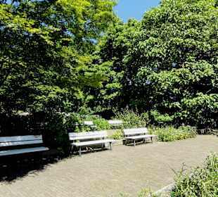 Ruhezone in den Wallanlagen