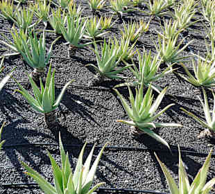 Fahrt von Ost über Nord nach West