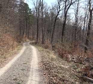 Geologischer Lehrpfad Kirnbachtal