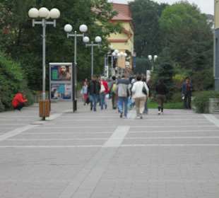 Pesia zona
